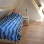 10 * Schellinkhout