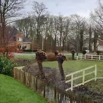 10 *