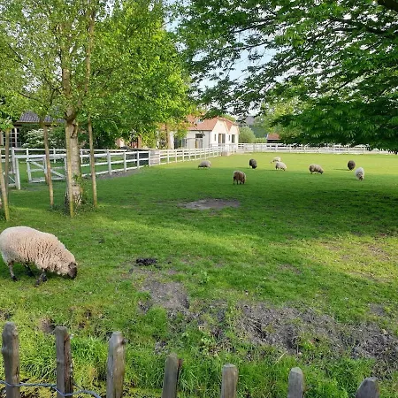 10 Holiday home Schellinkhout