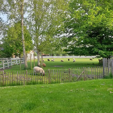 10 Holiday home Schellinkhout