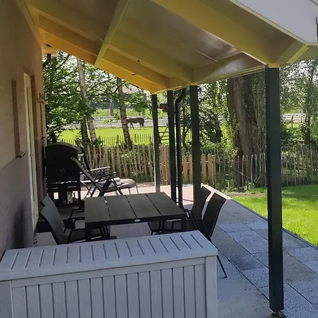 10 * Schellinkhout